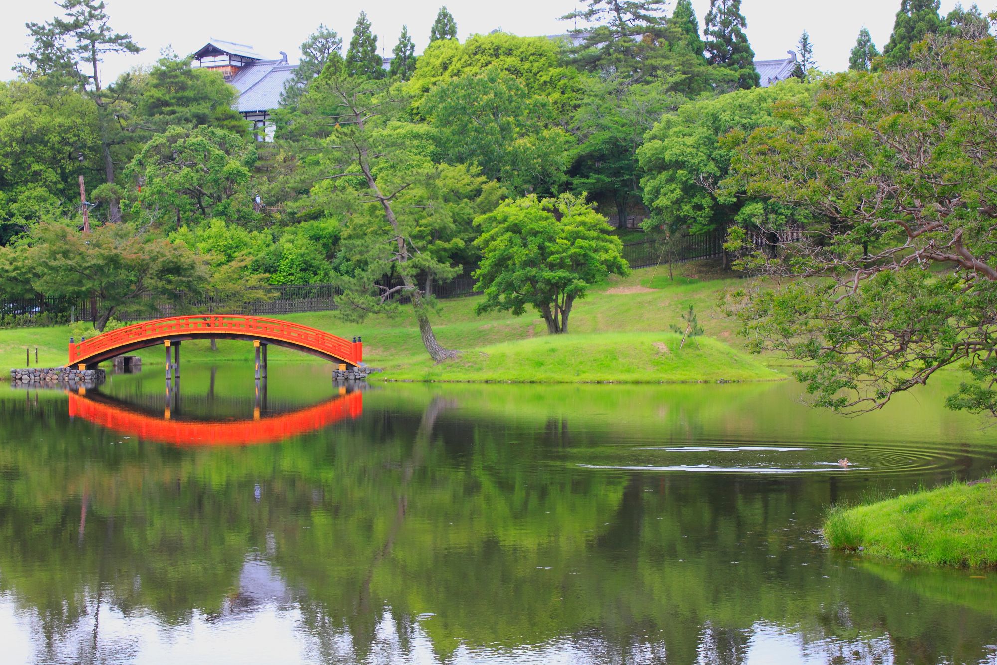 茶室から見える名勝大乗院庭園